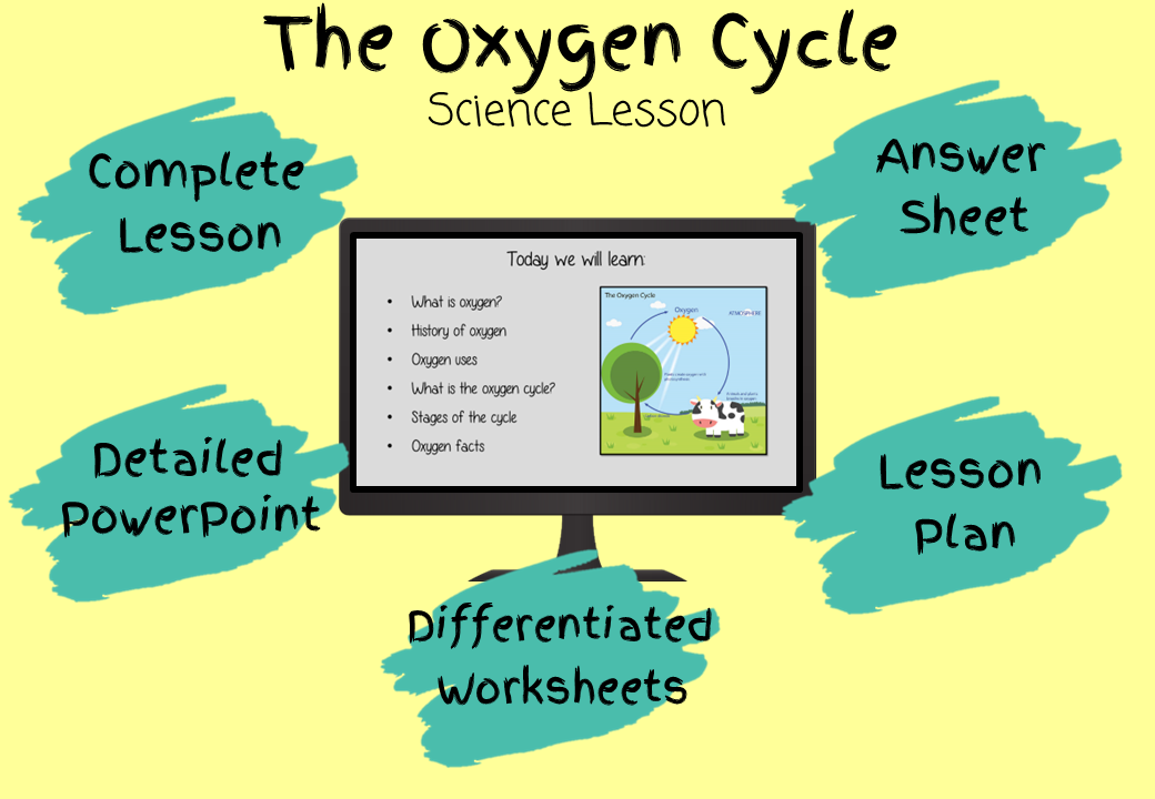 The Oxygen Cycle Science Lesson