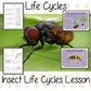Insect Life Cycles Complete Science Lesson complete lesson on the life cycles of insects Teach kids about the insect stages of life. This resource is a complete classroom lesson on the stages of insects life cycle, how they are classified, the different types of insects and discuss the exoskeleton There is a PowerPoint and printable student activities included to assist learning and encourage ideas in children and teachers #insectlifecycles #lifecycles #insects