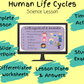 life-cycle-of-human-lesson-plan