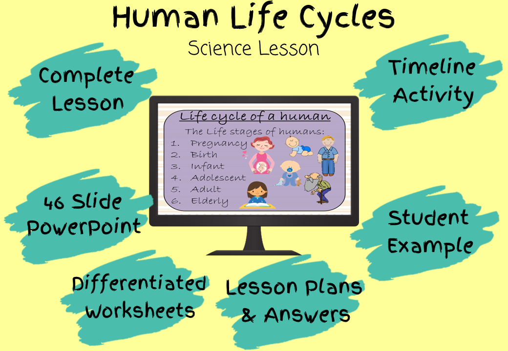 life-cycle-of-human-lesson-plan