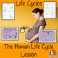 the-human-life-cycle
