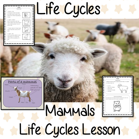 what-are-some-animal-life-cycles