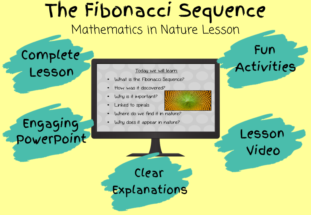 math-in-nature-lesson