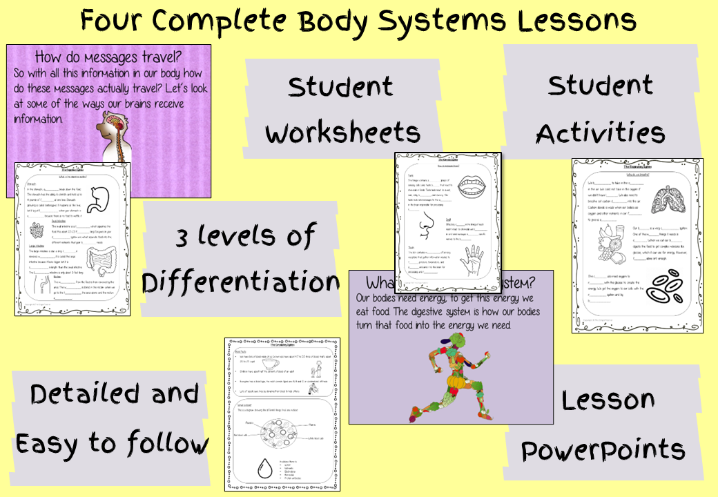 body-systems-lesson