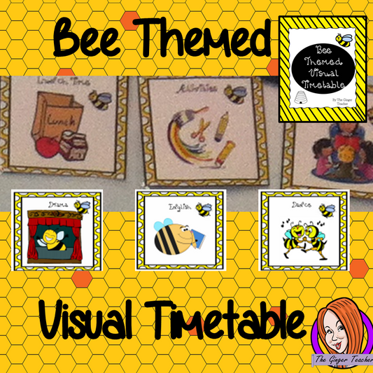 Back to School Bee Themed Visual Timetable Display