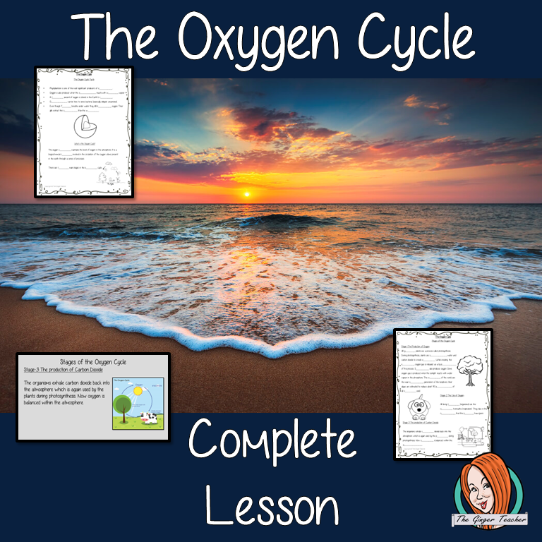 The Oxygen Cycle Science Lesson