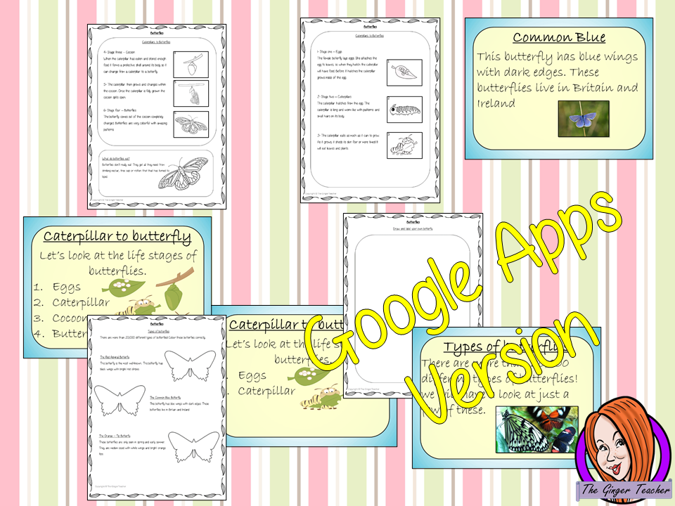 Distance Learning Butterflies Complete Google Slides Lesson  This download teaches children about Butterflies. There is a detailed 23 slide presentation on the life cycle of butterflies, details about the transformation from caterpillar to butterfly, information about how they eat, a look at some of the different types of butterflies and a brief look at the parts of a butterfly. There are also differentiated, 4 page, Butterflies Google Slides worksheets to allow children to demonstrate their understanding. 