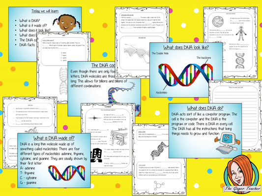 teach-about-dna