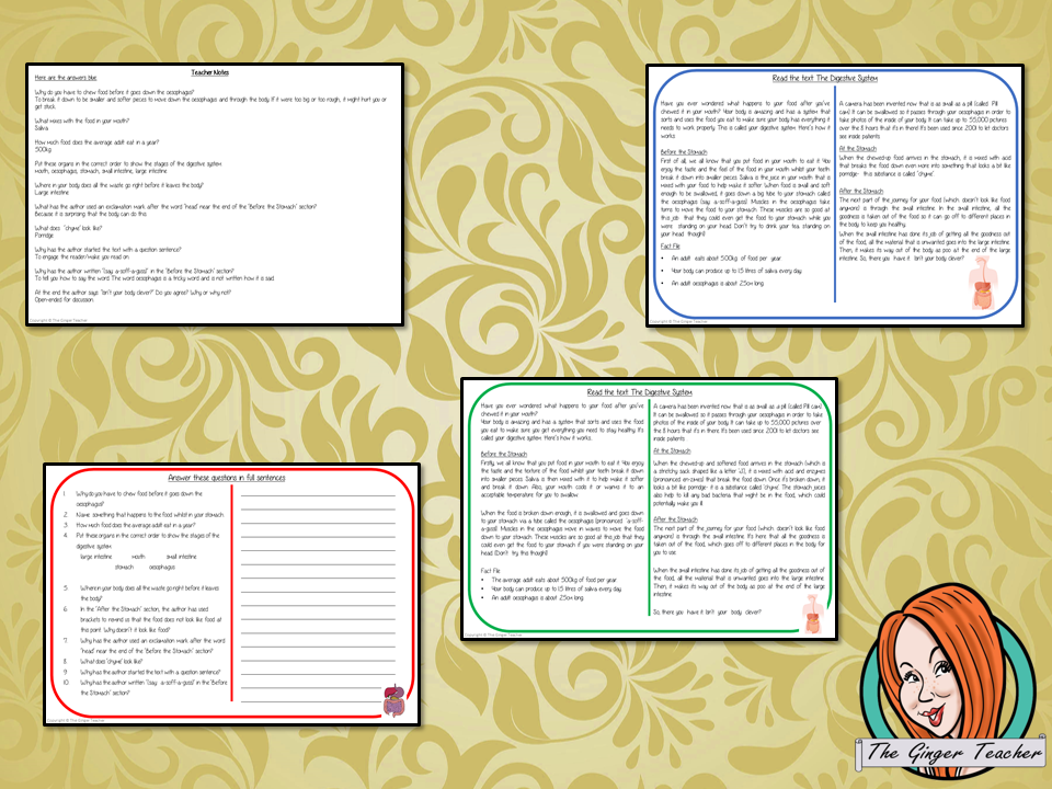 The Digestive System Reading Comprehension Cards Differentiated reading comprehension cards. Three levels of texts and questions to help children with reading comprehension. This text is on The Digestive System and has questions to help children understand and draw meaning from the text.