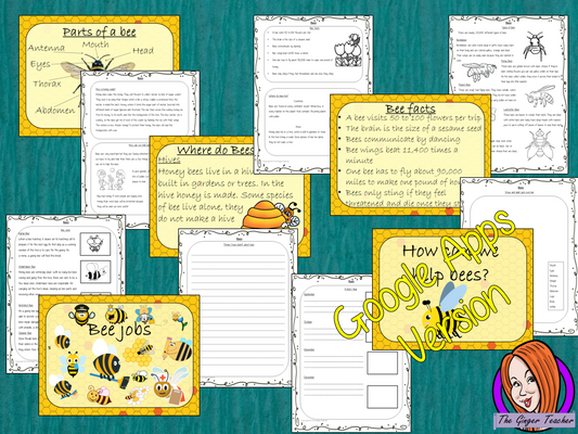 Distance Learning Bees Google Slides Lesson  This pack teaches children about bees in one complete lesson. There is a detailed 57 Google Slide presentation on where bees live, fun bee facts, details about how they make honey, information about the different jobs they do, a look at the different types of bees and a brief look at the parts of a bee. There are also differentiated, 8 page, Google Slides, bees worksheets to allow students to demonstrate their understanding. This pack is great for teaching kids a