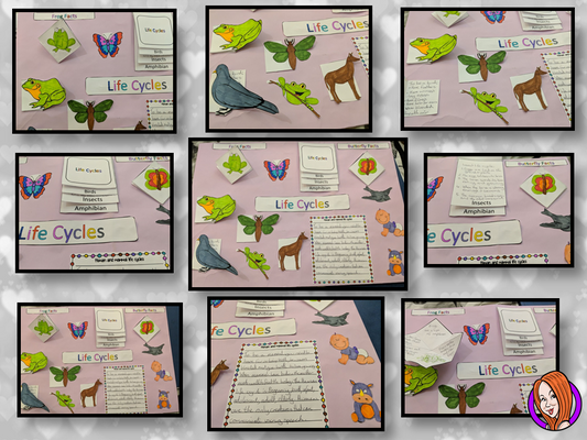Animal Life Cycles Round up  -  Complete Lesson