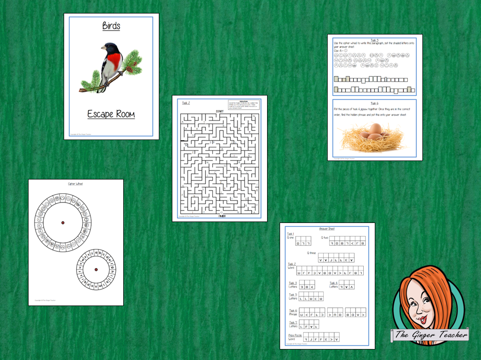 Birds Escape Room Game     Try this escape room style game with your students today! This is a fun game that is perfect for teaching children about Birds. This game focuses on students finding out facts and information and using these to solve puzzles. This helps them to learn.     This activity is great for the beginning of a topic to introduce information or at the end to recap.     Students are trying to help an alien understand Bees and they must solve a series of clues, as well as decode different ciph