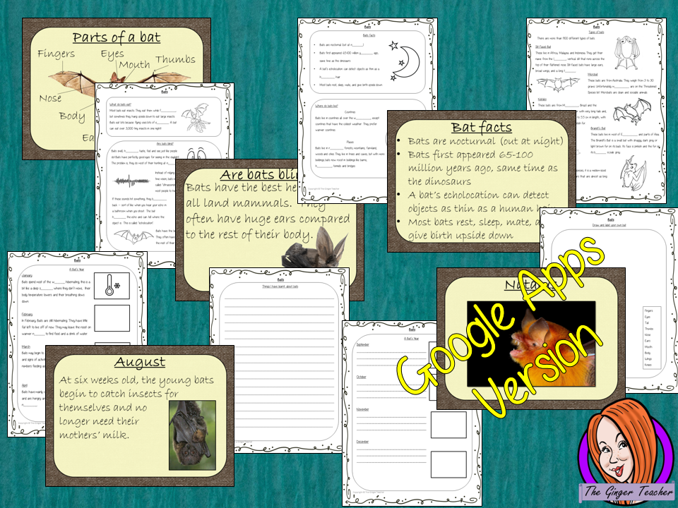 Distance Learning Bats Google Slides Lesson  This download teaches children about bats in one complete lesson. There is a detailed 56 slide presentation on where bats live, cute bat facts, details about how they spend their year, information about how they eat, a look at the different types of bats and a brief look at the parts of a bat. There are also differentiated, 8 page, Google slides, bats worksheets to allow students to demonstrate their understanding. This pack is great for teaching kids all about b