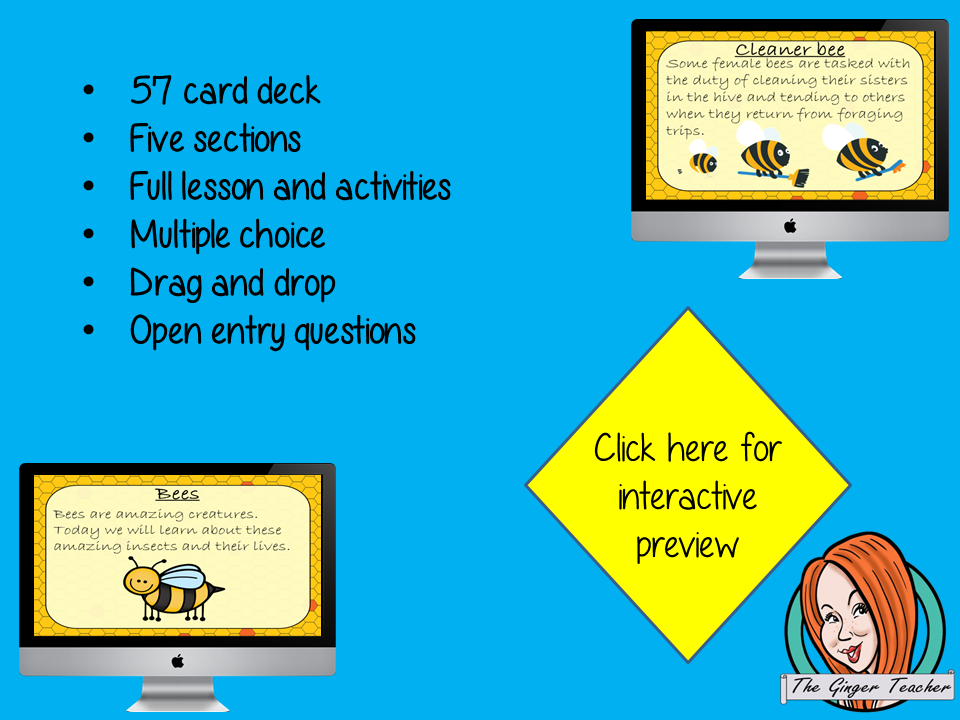 Bees - Boom Cards Digital Lesson