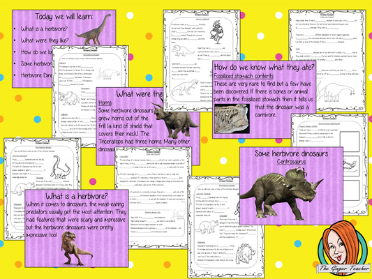 Herbivore Dinosaurs Lesson