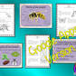 Distance Learning Insect Life Cycles Google Slides Lesson   This is a complete lesson on the life cycles of insects.  Part of my Life Cycles of Animals unit of work. Teach kids about the insect stages of life. This resource is a complete lesson on the stages of insects’ life cycle, how they are classified, and the different types of insects and discusses the exoskeleton. There is a presentation and student activities included to assist learning and encourage ideas in children and teachers.  This is the Goog