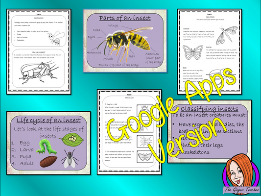 Distance Learning Insect Life Cycles Google Slides Lesson   This is a complete lesson on the life cycles of insects.  Part of my Life Cycles of Animals unit of work. Teach kids about the insect stages of life. This resource is a complete lesson on the stages of insects’ life cycle, how they are classified, and the different types of insects and discusses the exoskeleton. There is a presentation and student activities included to assist learning and encourage ideas in children and teachers.  This is the Goog