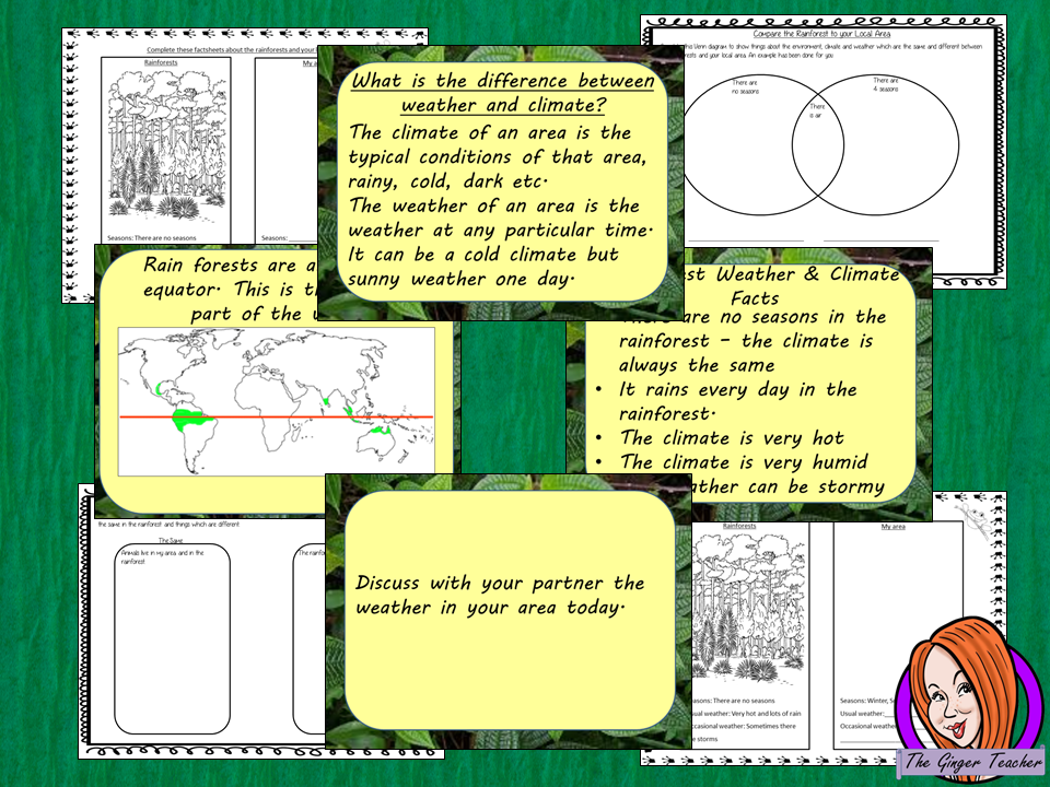 Understanding Rainforest Weather and Climate -  Complete Lesson
