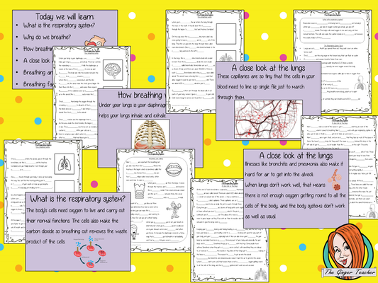 The Respiratory System Science Lesson