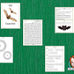 Bats Escape Room Game     Try this escape room style game with your students today! This is a fun game that is perfect for teaching children about Bats. This game focuses on students finding out facts and information and using these to solve puzzles. This helps them to learn.     This activity is great for the beginning of a topic to introduce information or at the end to recap.     Students are trying to help an alien understand Bats and they must solve a series of clues, as well as decode different cipher