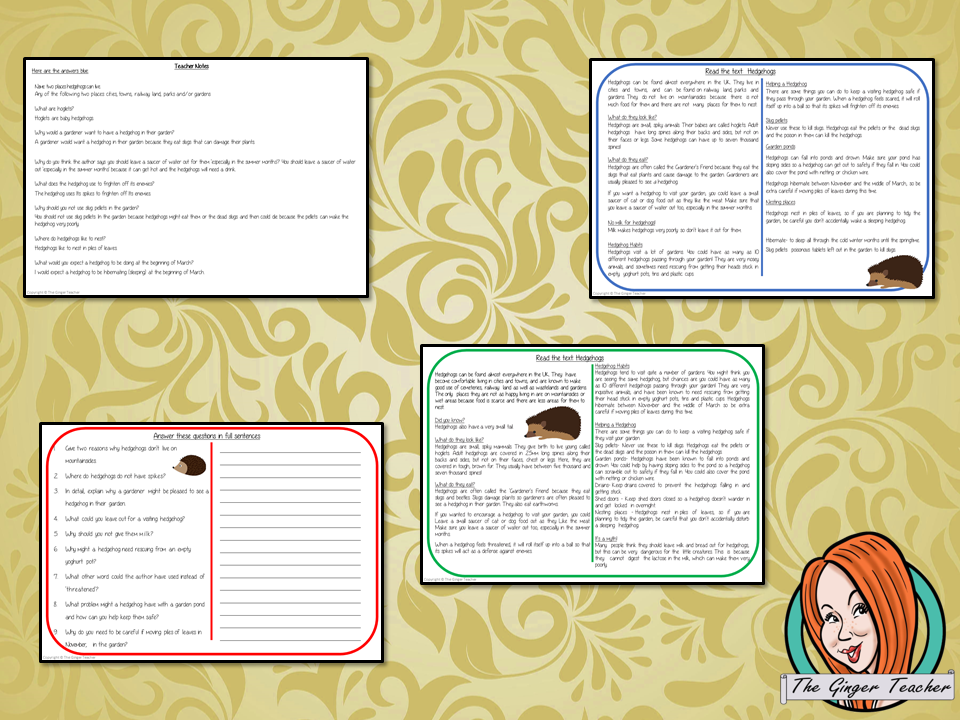 Hedgehog Reading Comprehension Cards    Differentiated reading comprehension cards. Three levels of texts and questions to help children with reading comprehension. This text is on the Hedgehog and has questions to help children understand and draw meaning from the text.