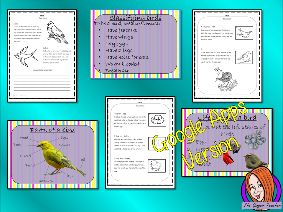 Distance Learning Bird  Life Cycles Google Slides, Science Lesson   This download is a complete lesson on Bird life cycles.  This is the Google Slides version of this lesson!