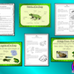 Frog  Life Cycles   -  Complete Science Lesson