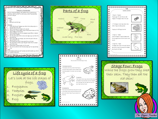 Frog  Life Cycles   -  Complete Science Lesson