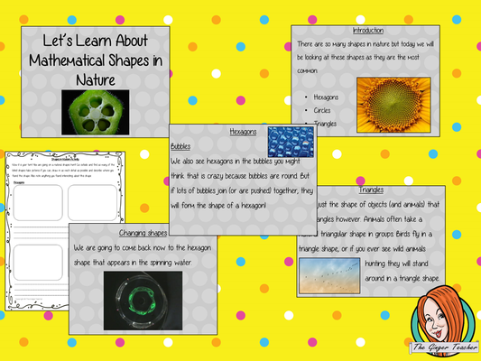 Mathematical Shapes in Nature