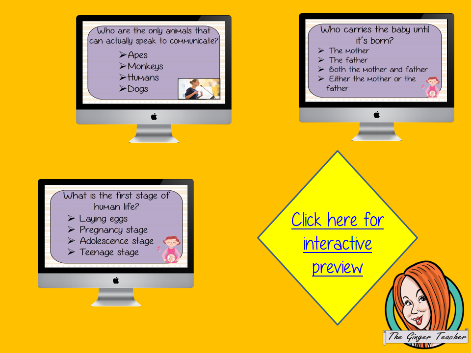 Human Life Cycle Revision Questions  This deck revises children’s knowledge of Human Life Cycle. There are multiple choice revision questions to check children’s understanding. These question cards are self-grading and lots of fun!