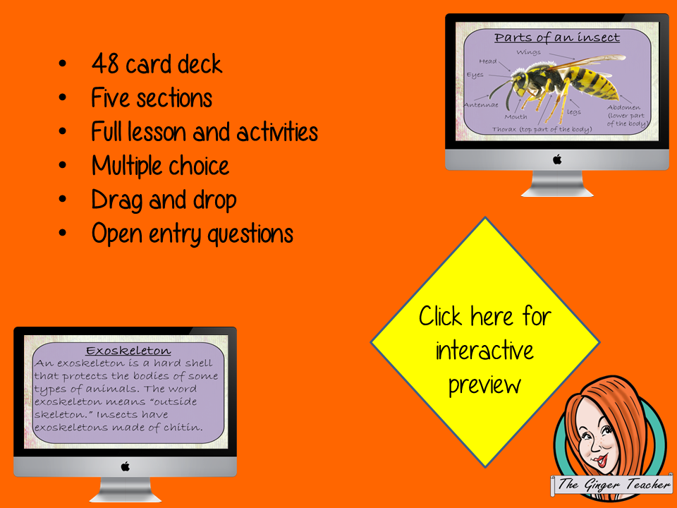 Insects Life Cycle - Boom Cards Digital Lesson