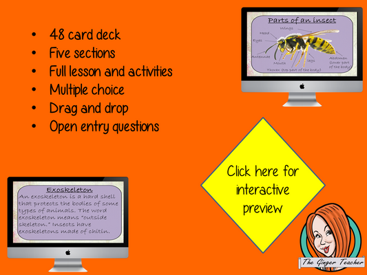 Insects Life Cycle - Boom Cards Digital Lesson