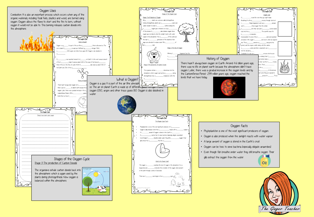 The Oxygen Cycle Science Lesson