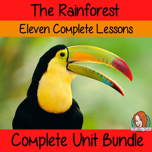rainforest-deforestation-lesson-plan