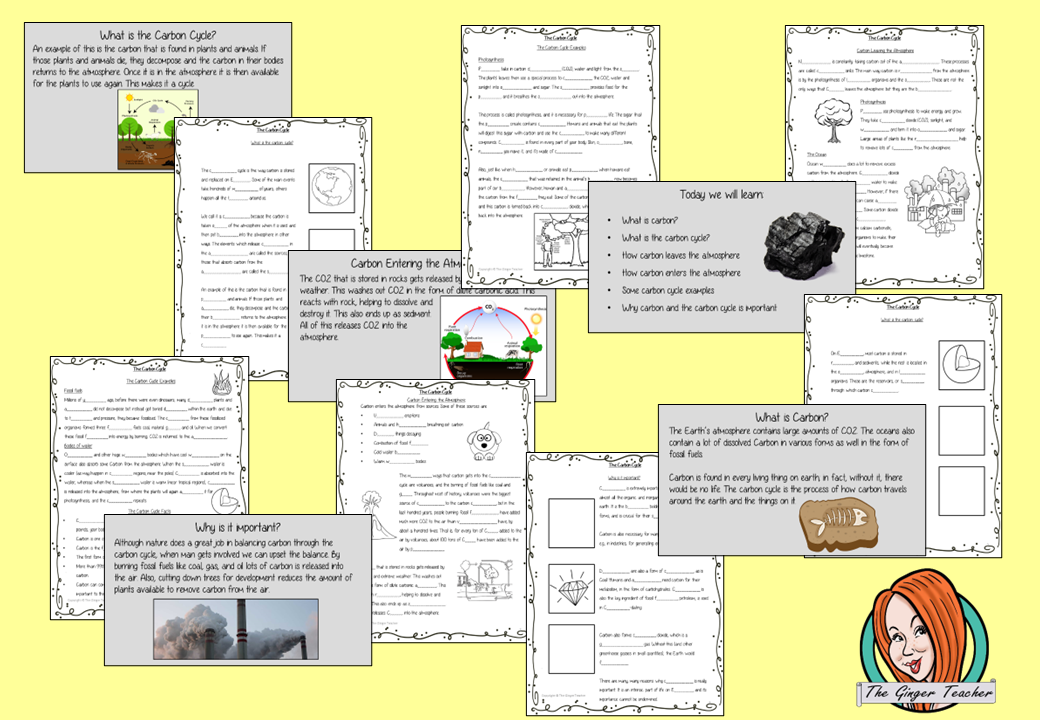 the-carbon-cycle-easy