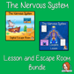 nervous-system-classroom-activities