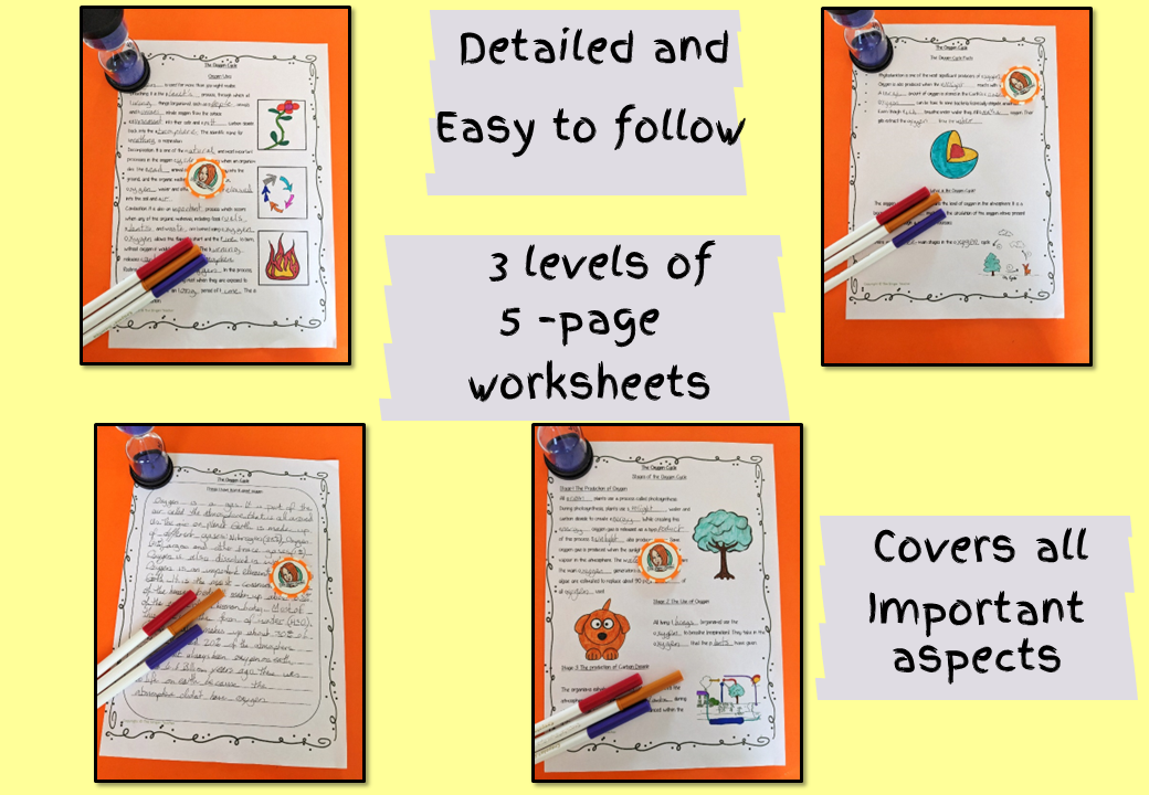 The Oxygen Cycle Science Lesson