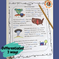 Tornadoes Complete Lesson – The Ginger Teacher