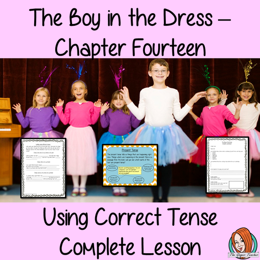 Using Verb Tenses; Complete Lesson  – The Boy in the Dress